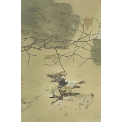 生灵系列——羽殇