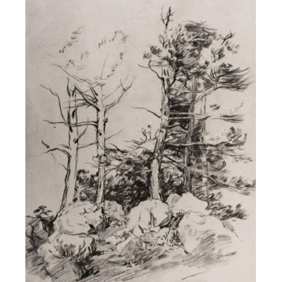 松树·阿卢普卡市