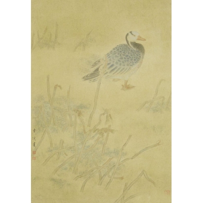 满塘金色正年华