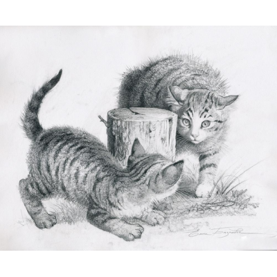 嬉戏的小猫（草图）