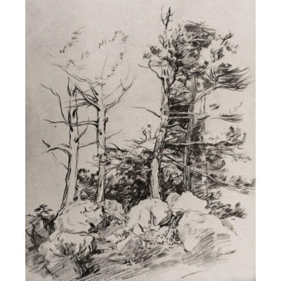 松树·阿卢普卡市