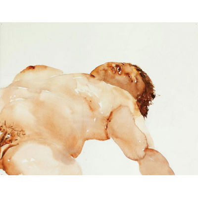 人体局部2013-4号