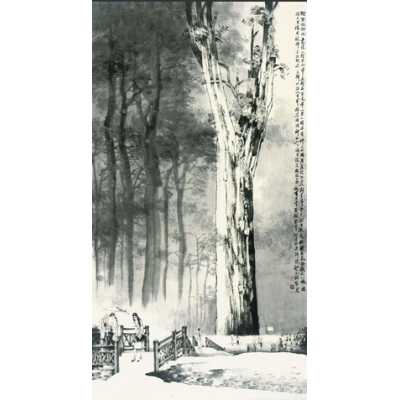 孔维克无言诉说——为台湾阿里山神木造像